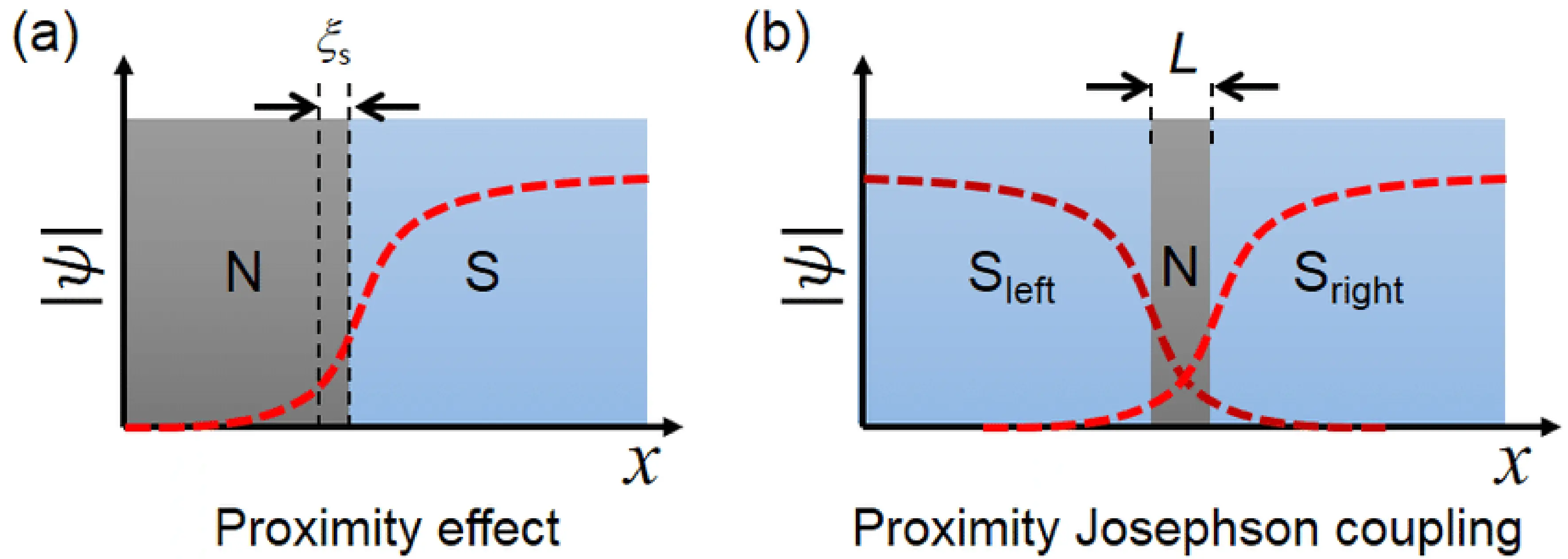 (a) The superconducting order parameter \Psi of a superconductor (S) penetrating into the normal metal (N) with a length scale of the superconducting coherence length,\xi. (b) Order parameters from two sides have an overlap in N, producing proximity Josephson coupling.(Lee and Lee 2018)